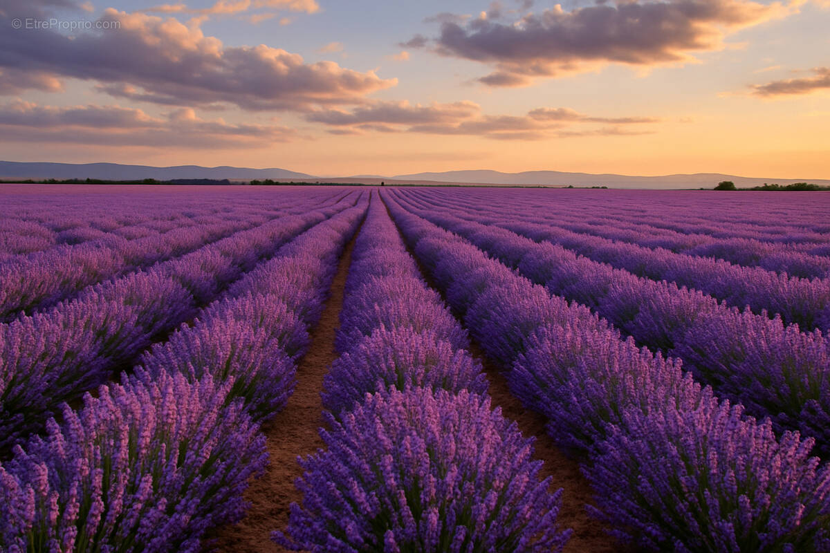 Appartement à SAINT-REMY-DE-PROVENCE