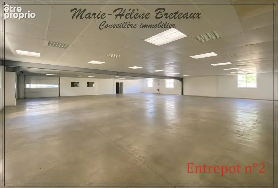 Local/bureau à vendre  (47)Ensemble immobilier professionnel de 1 880 m² à Barbaste - photo 5