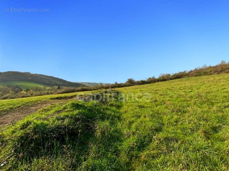 Terrain à MONTCENIS
