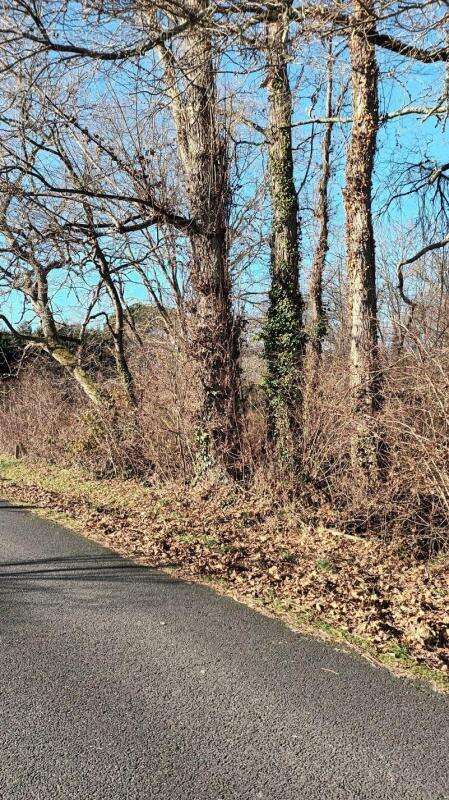 Terrain à VILLANDRAUT