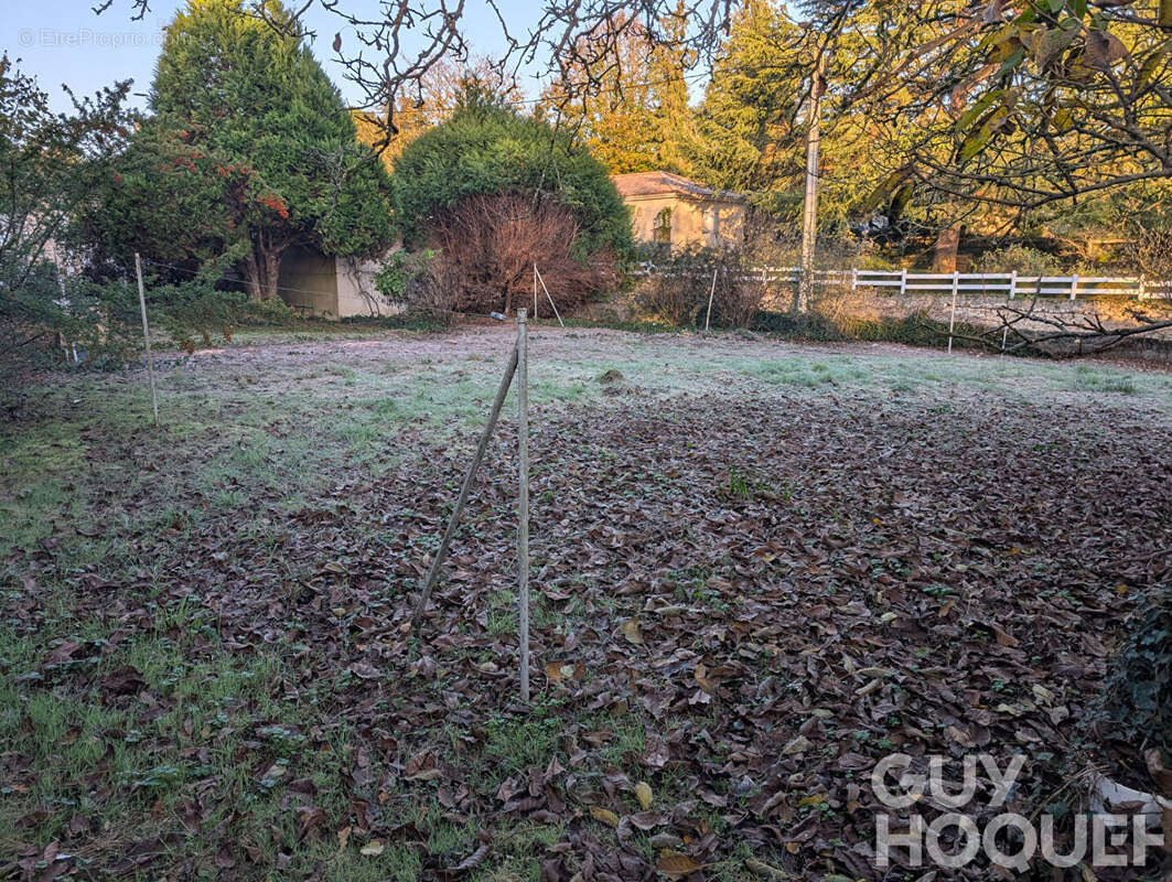 Terrain à VOUNEUIL-SOUS-BIARD