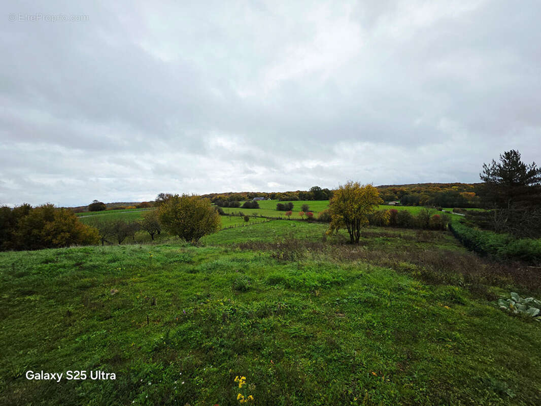 Terrain à FONTENELLE-MONTBY