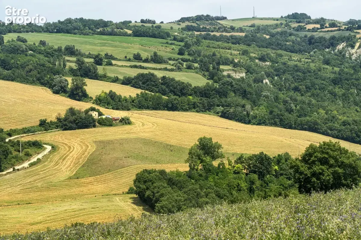 Terrain à LA SELLE-SUR-LE-BIED