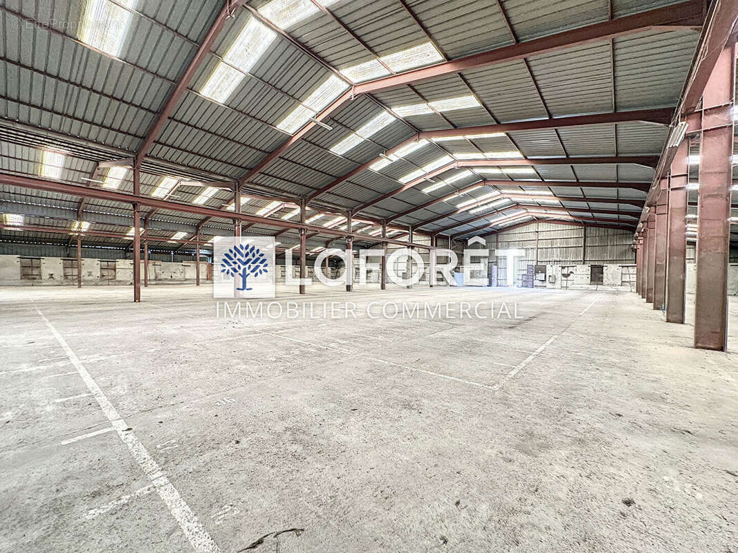 Commerce à SAINT-JACQUES-DE-THOUARS