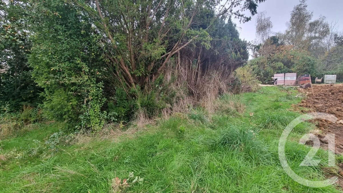 Terrain à BOIS-LE-ROI