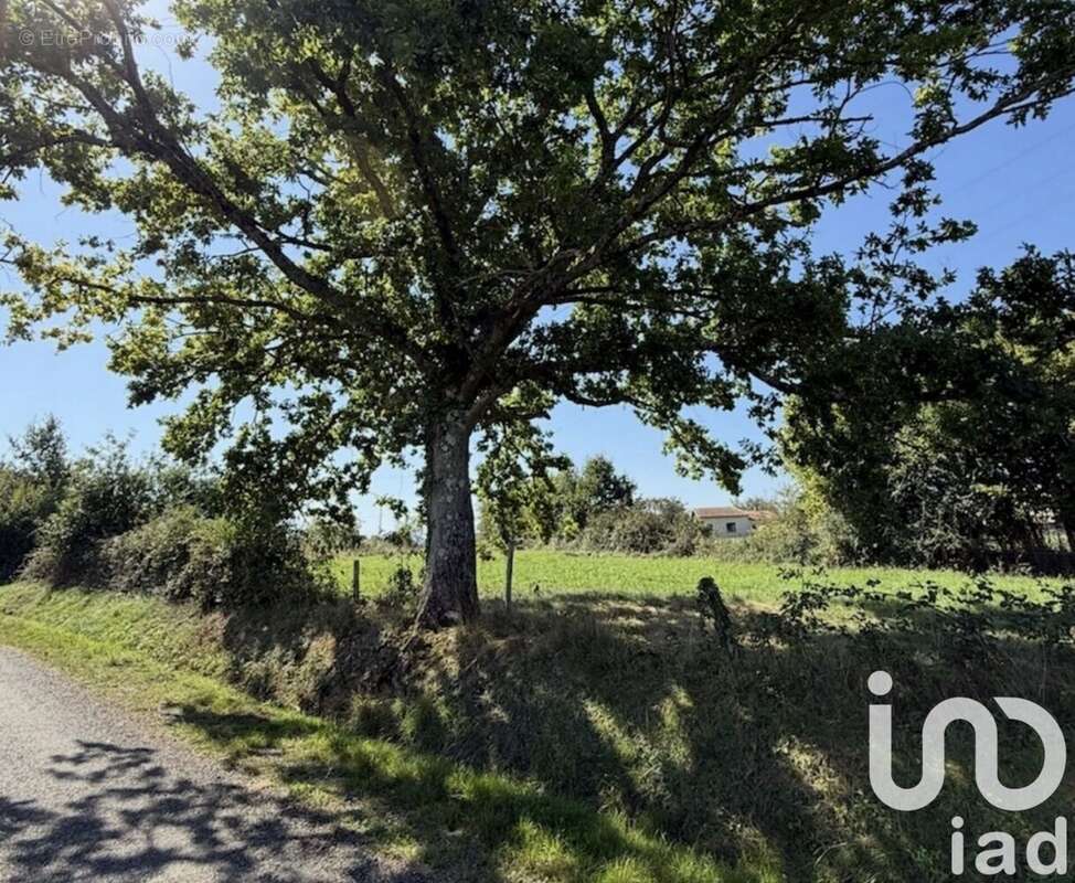 Photo 5 - Terrain à VILLENEUVE-DE-RIVIERE