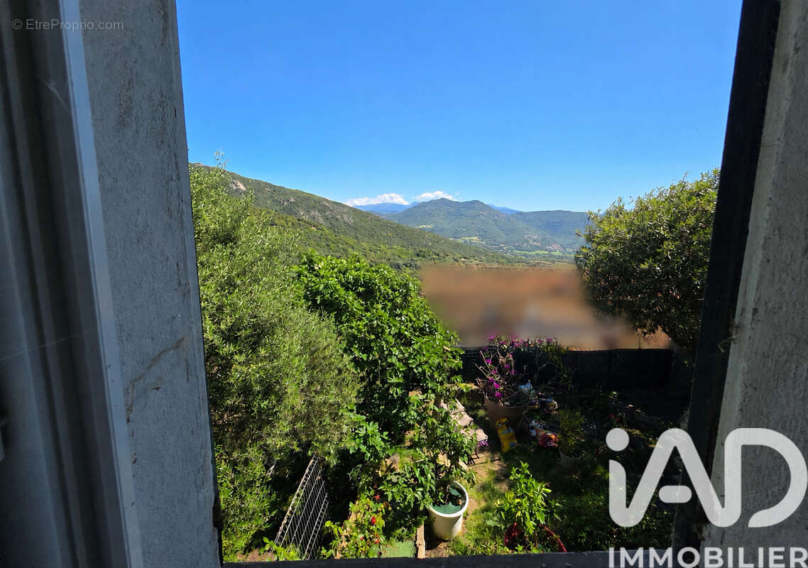 Photo 7 - Maison à OLMETO