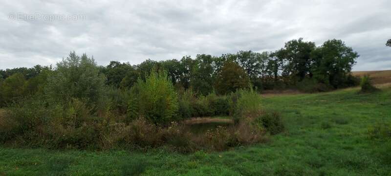 Dpt Gers (32), à vendre GIMBREDE Terrain de loisirs à la campagne avec lac privé – Idéal pour la détente en pleine nature - photo 3