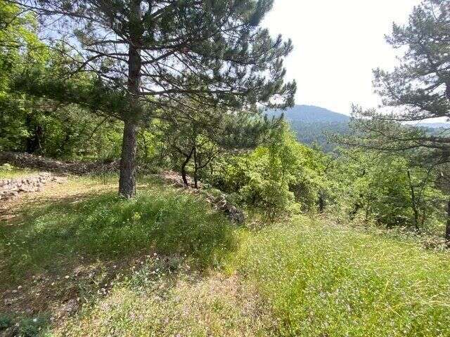Vente Terrain Soubes(34700) 145 000ï¿œ - photo 6