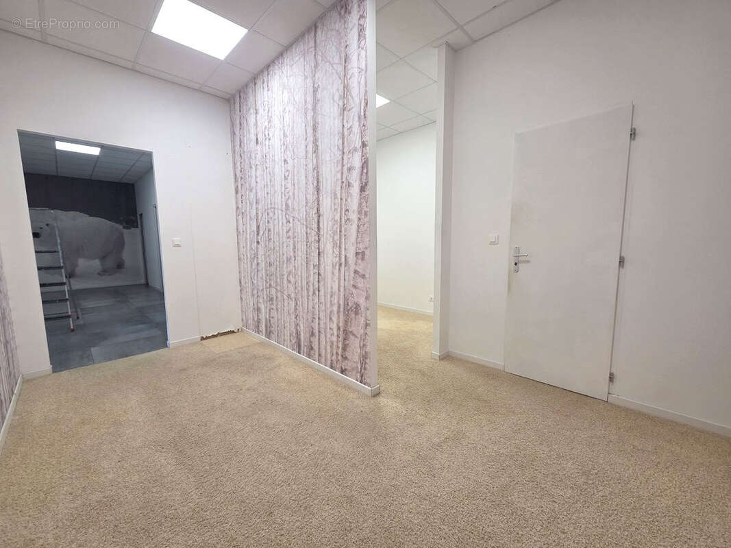 Commerce à BLOTZHEIM