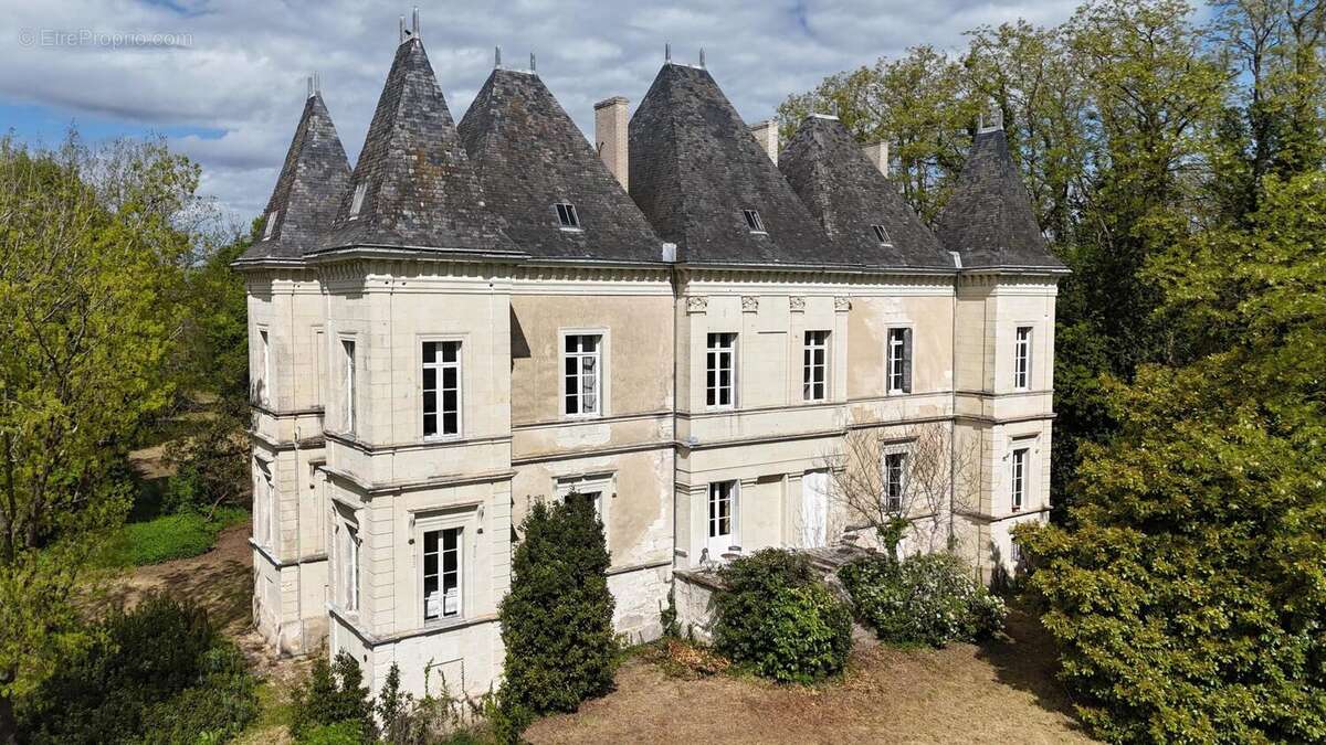 333 m² à Neuille  - photo 2
