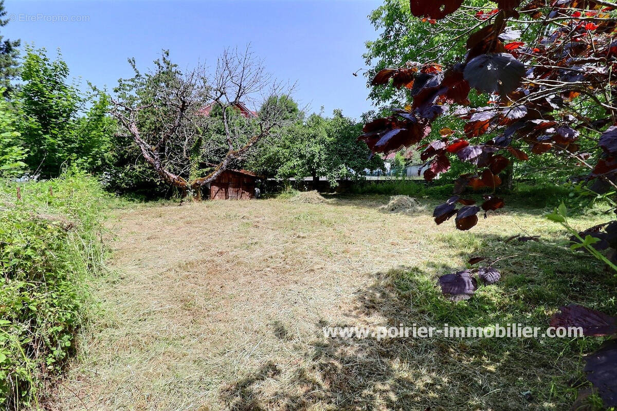 Terrain à PERRIGNIER