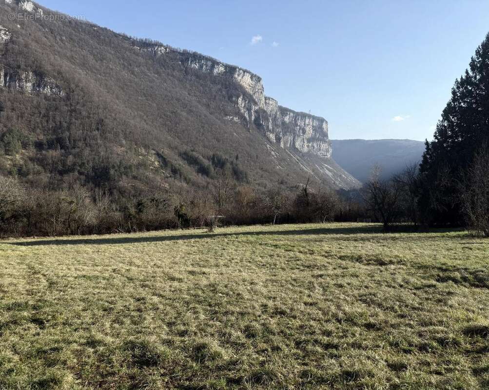 Photo 2 - Terrain à TENAY