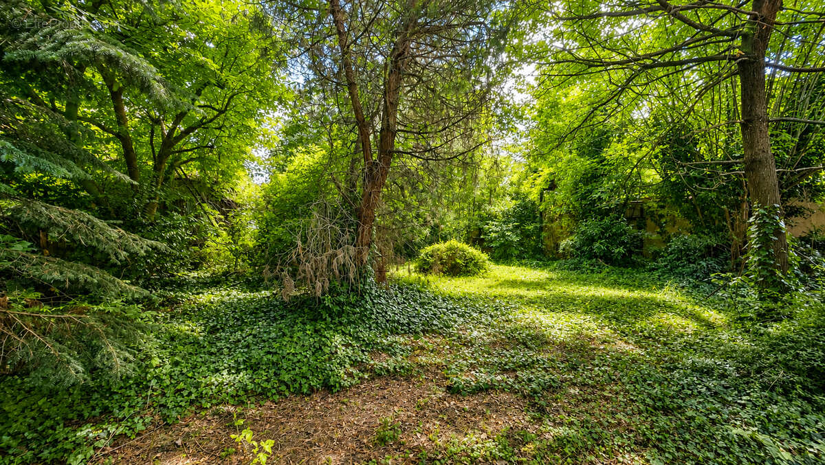 Maison au coeur du centre-ville, sur un magnifique terrain arboré de 824 m². - photo 2