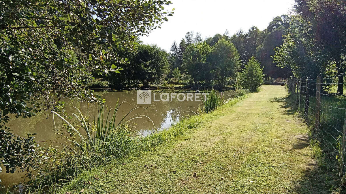 Terrain à HARTZVILLER