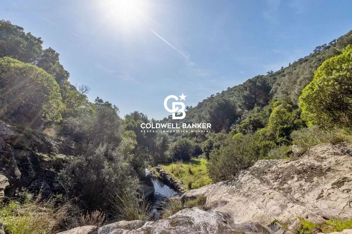 Maison à LE LAVANDOU