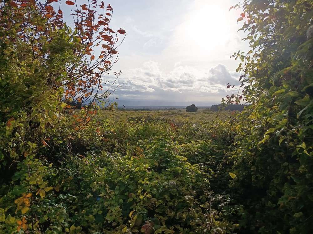Maison à LA TOURETTE-CABARDES