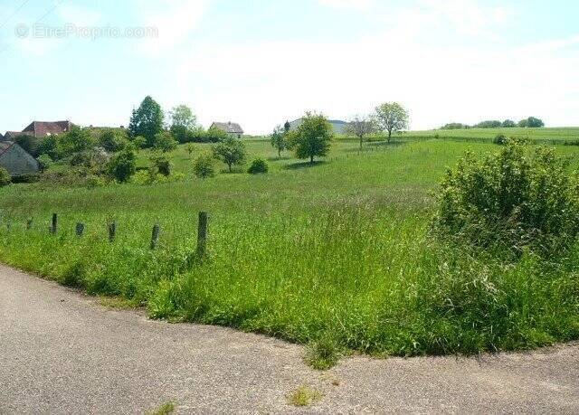 Terrain à COURSAN-EN-OTHE