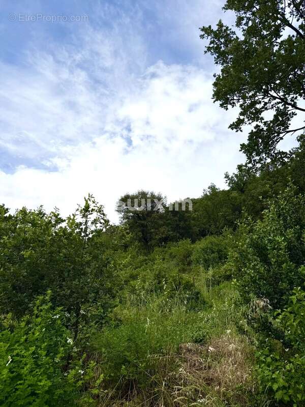 Terrain à SAINT-MARCEL-LES-SAUZET