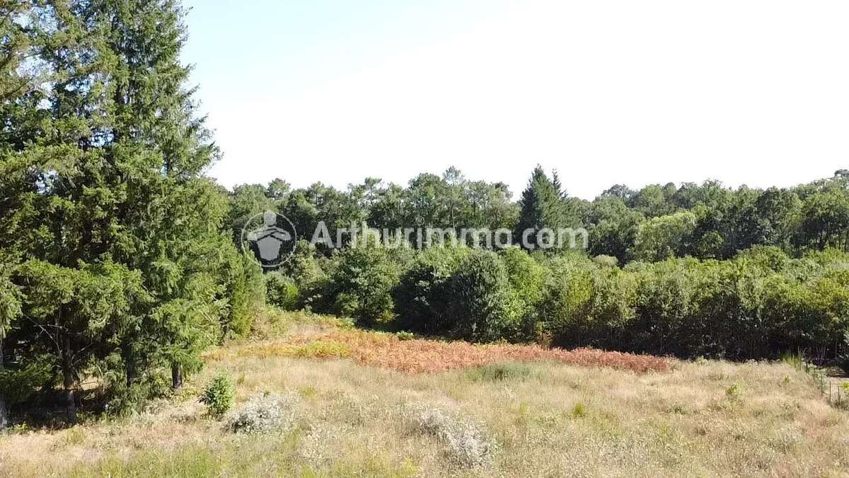 Terrain à bâtir 2921 m² - photo 3