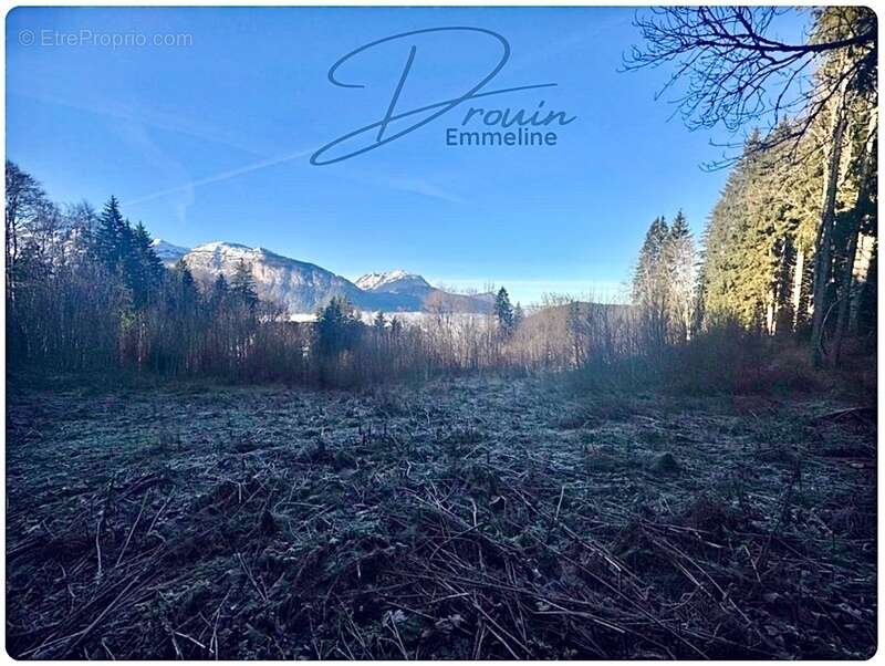 Terrain à ARACHES-LA-FRASSE