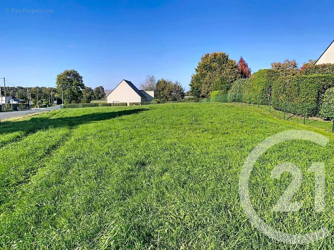 Terrain à ALLAIRE
