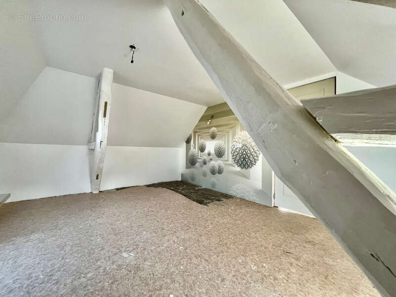 Saint-Pierre-la-Noaille (42)Grande maison de caractère de 217 m² habitables  et un potentiel d'aménagement jusqu'à 475 m² sur 3  - photo 8