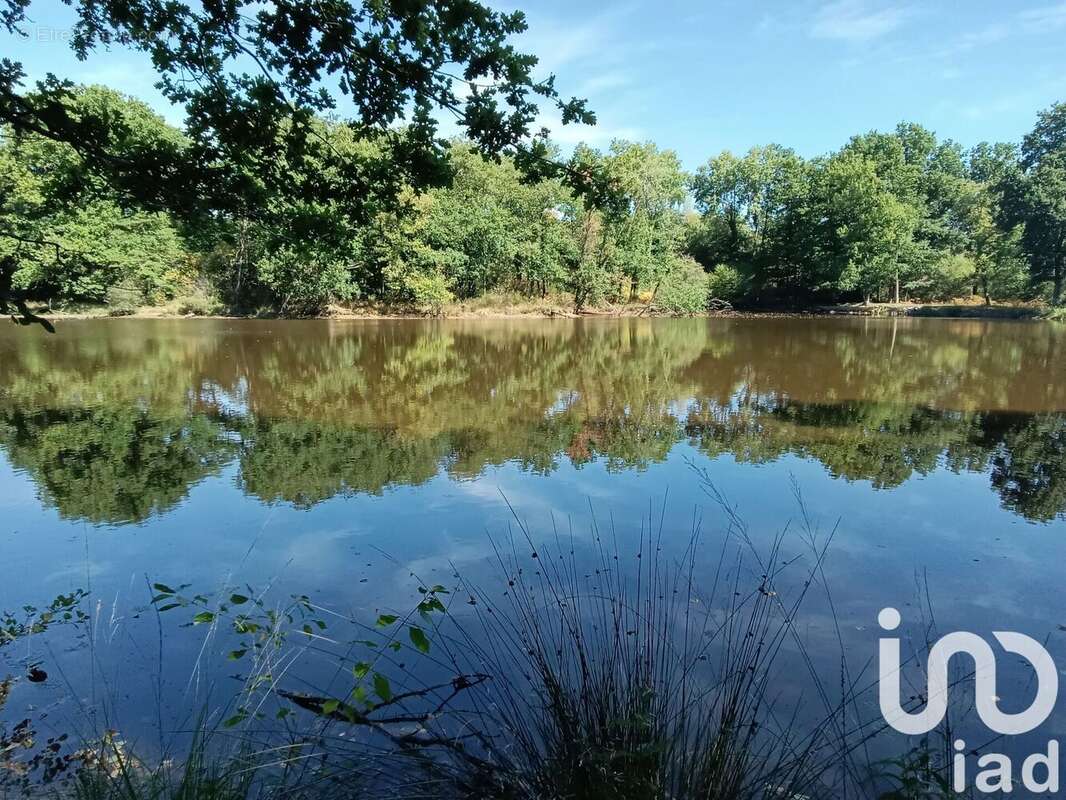 Photo 8 - Terrain à BORD-SAINT-GEORGES