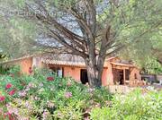 Maison à SAINT-TROPEZ