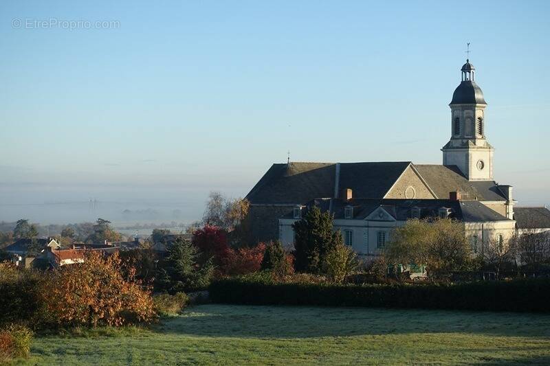Terrain à LE MESNIL-EN-VALLEE