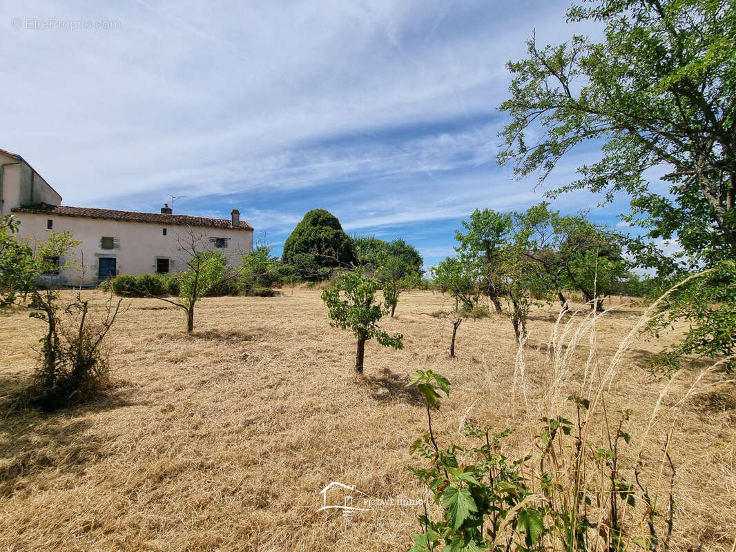 Maison 115 m2 dependances 400m2 - photo 2