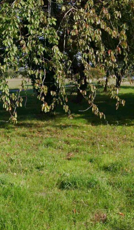 Terrain à SAINT-ROGATIEN