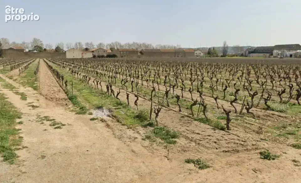 Terrain 521 m² à vendre à Canet (11200) - photo 3