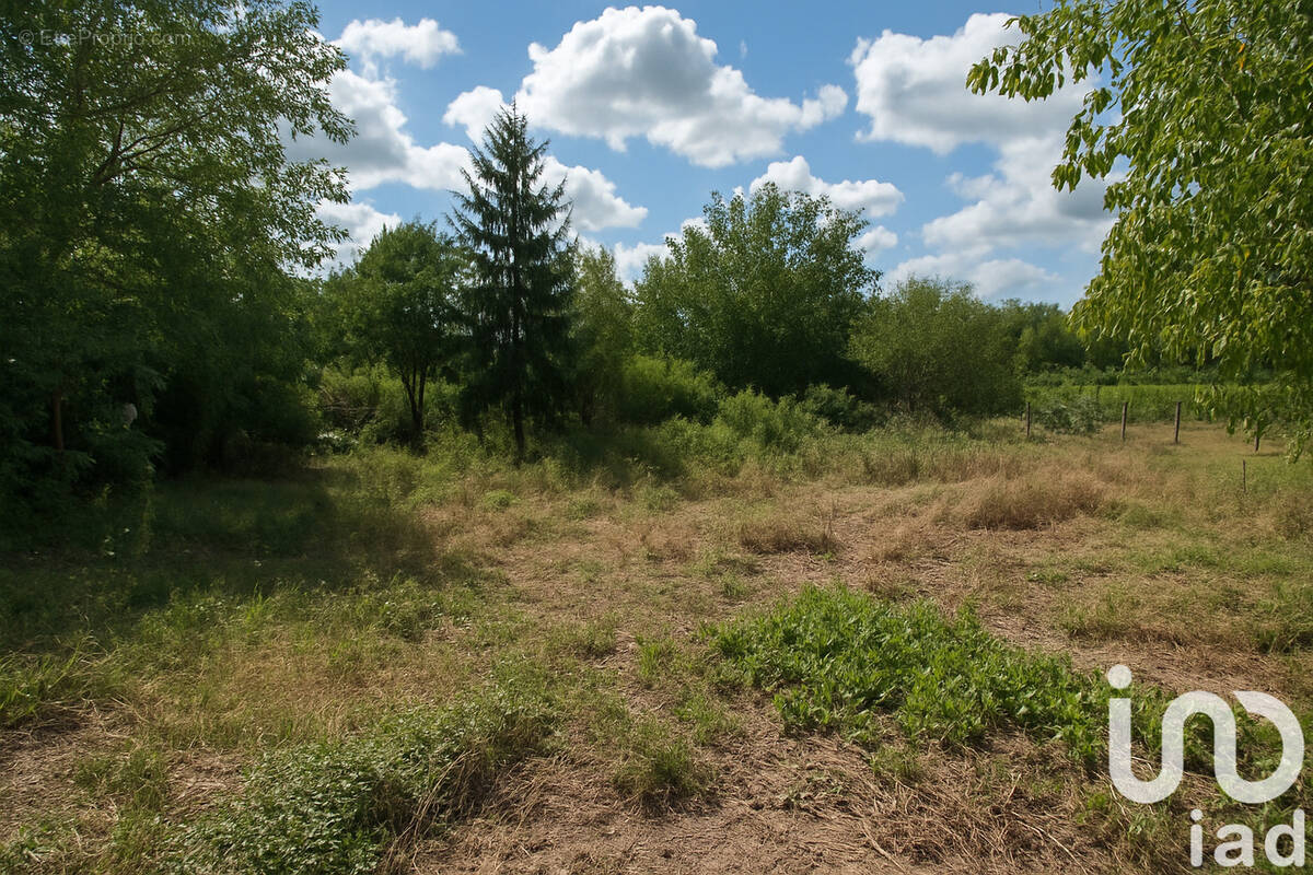 Photo 1 - Terrain à SAINT-GERMAIN-DU-PUCH