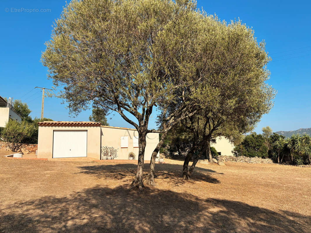 Maison individuelle 3 chambres - dépendance et double garage-  à Poghjala, commune de Figari - photo 23
