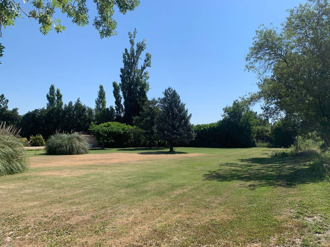 Terrain à SENAS