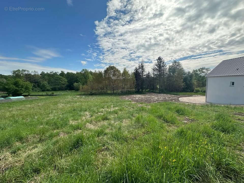Terrain à LA VEZE