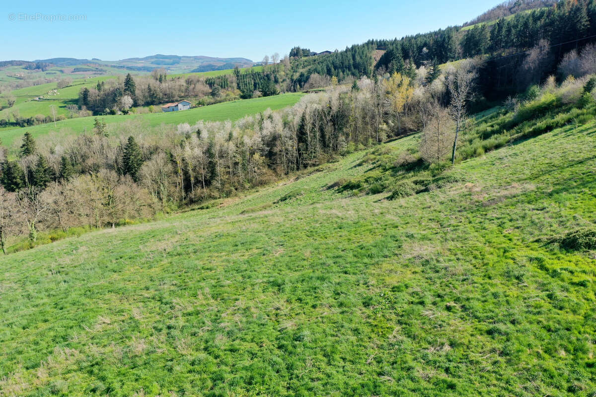 Terrain à AMPLEPUIS