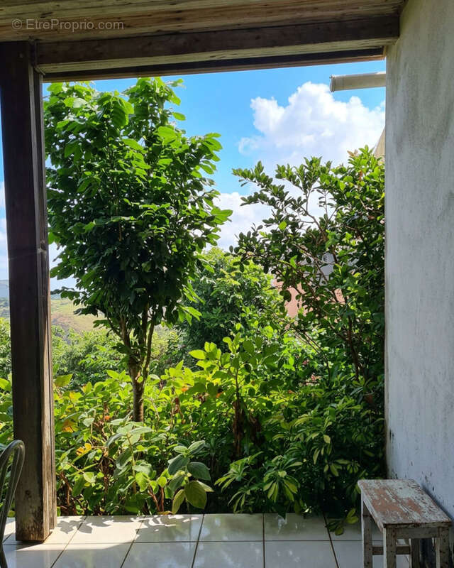 Maison T4/5 Piton Bois de Nèfles Ste Clotilde - photo 4