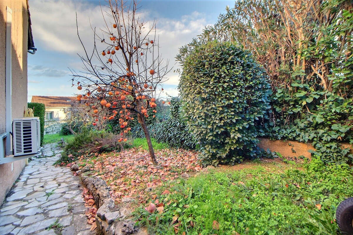 Maison à TRANS-EN-PROVENCE