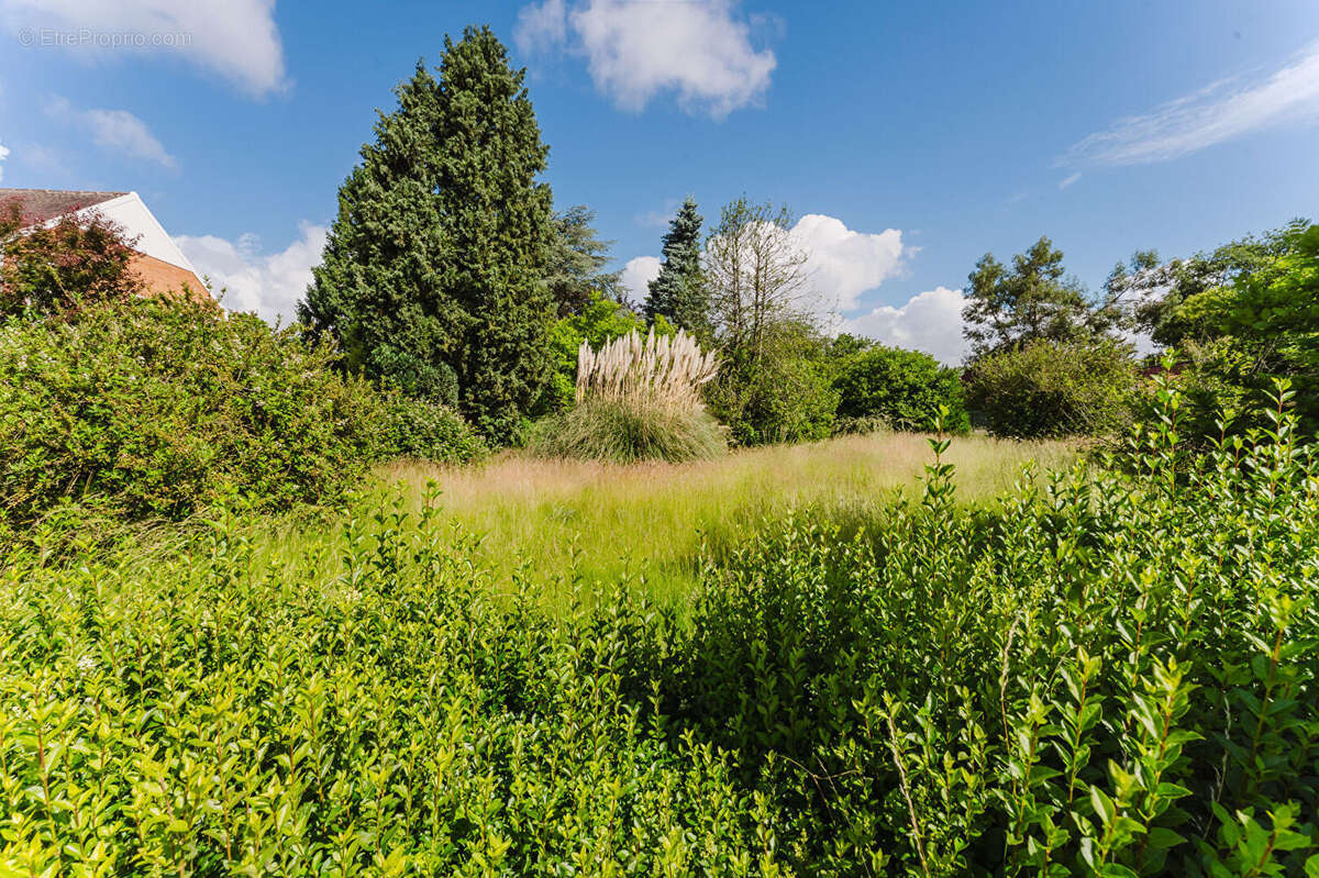 Terrain à ROOST-WARENDIN