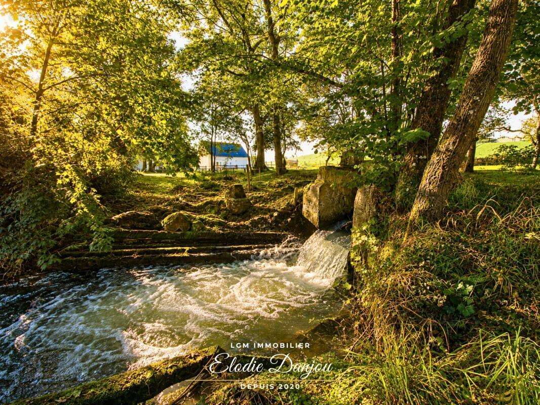 Ancien moulin à eau de caractère avec seconde maison, dépendances et plus de 2 hectares – proche Vendôme et gare TGV - photo 18