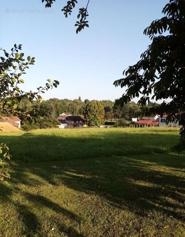 Terrain à SAINT-LEONARD-DE-NOBLAT