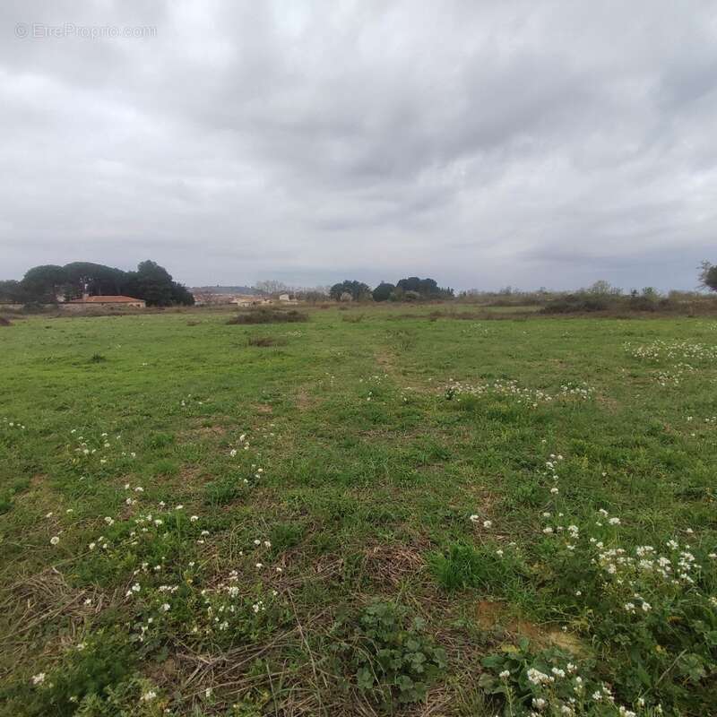 Terrain à SALLES-D'AUDE