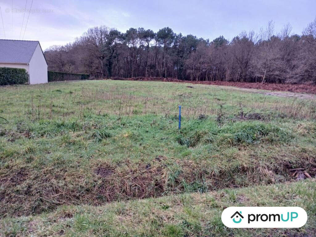 Terrain à SAINT-PHILBERT-DU-PEUPLE