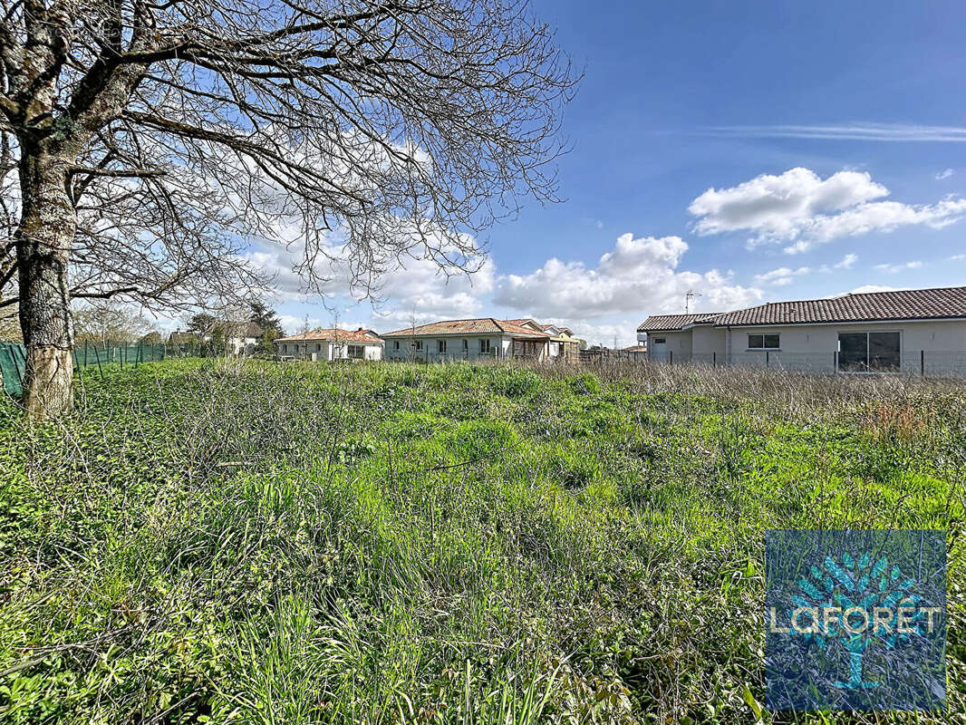 Terrain à SAINT-GEOURS-DE-MAREMNE