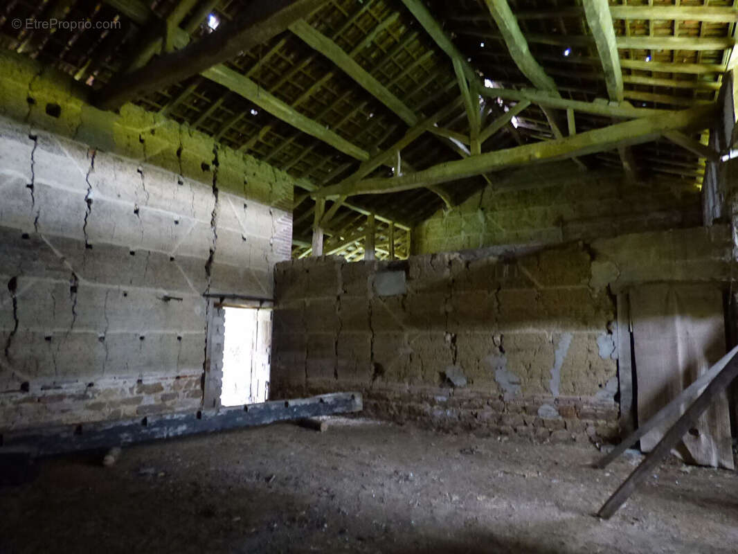 Ferme avec + de 6HA de terrain - photo 11