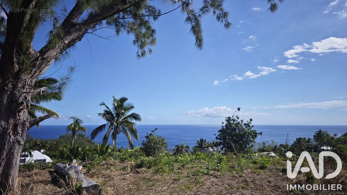Photo 1 - Terrain à PETITE-ILE