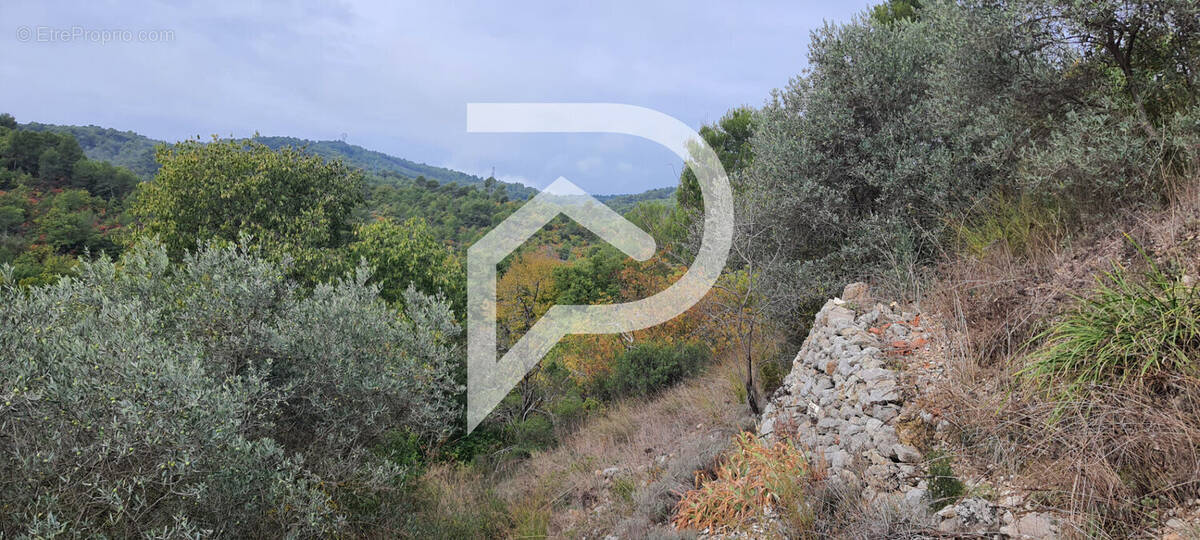 Terrain à CORBIERES