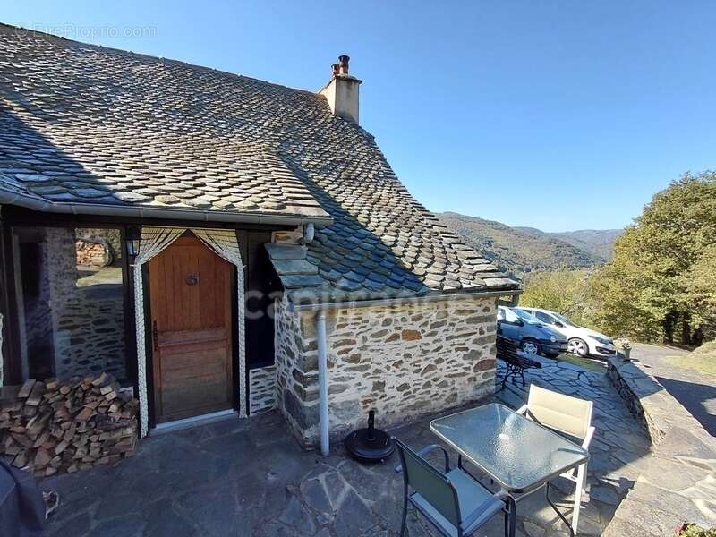 Maison à VIEILLEVIE